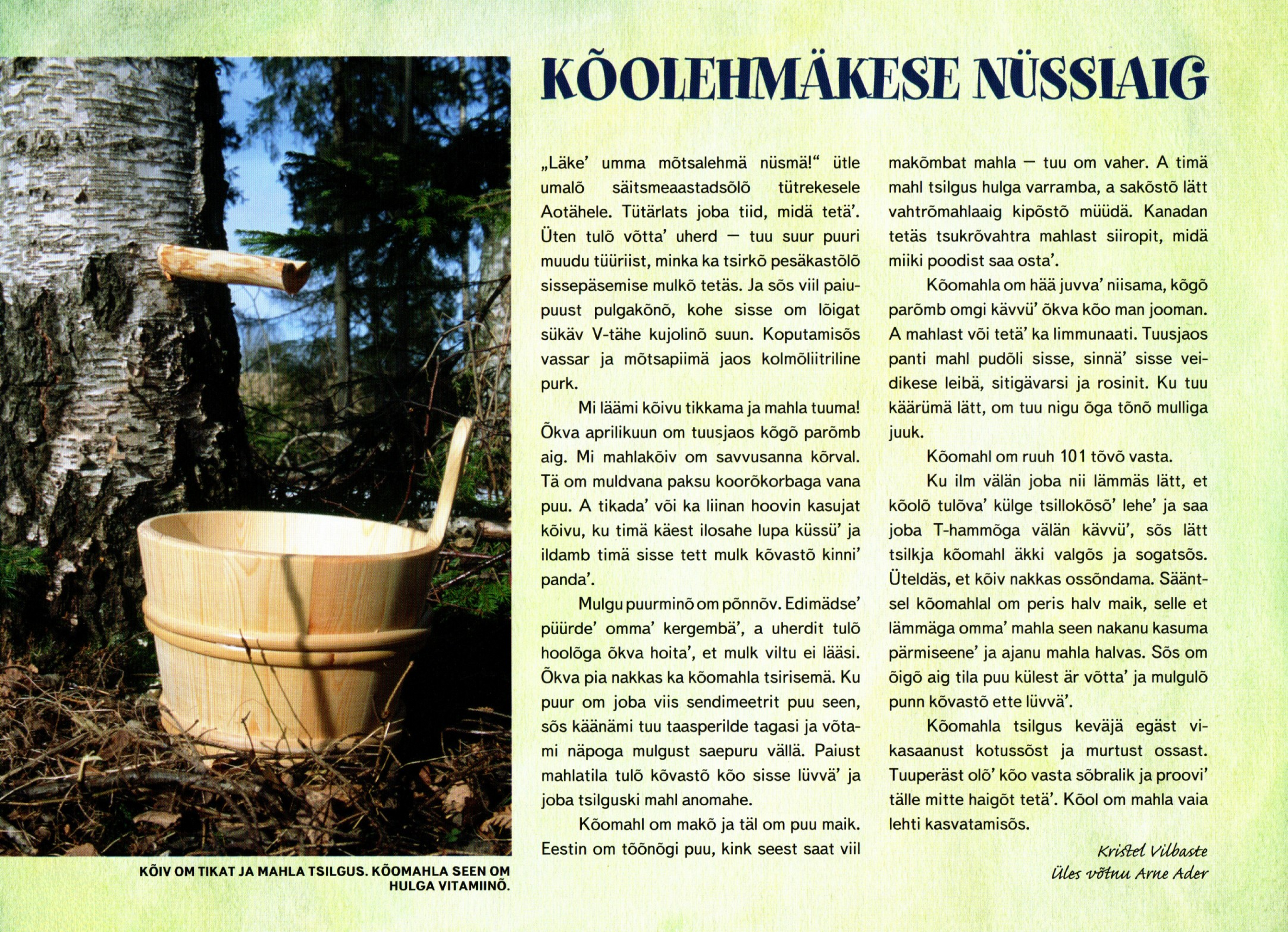 K6olehmakese_nyssiaig.pdf