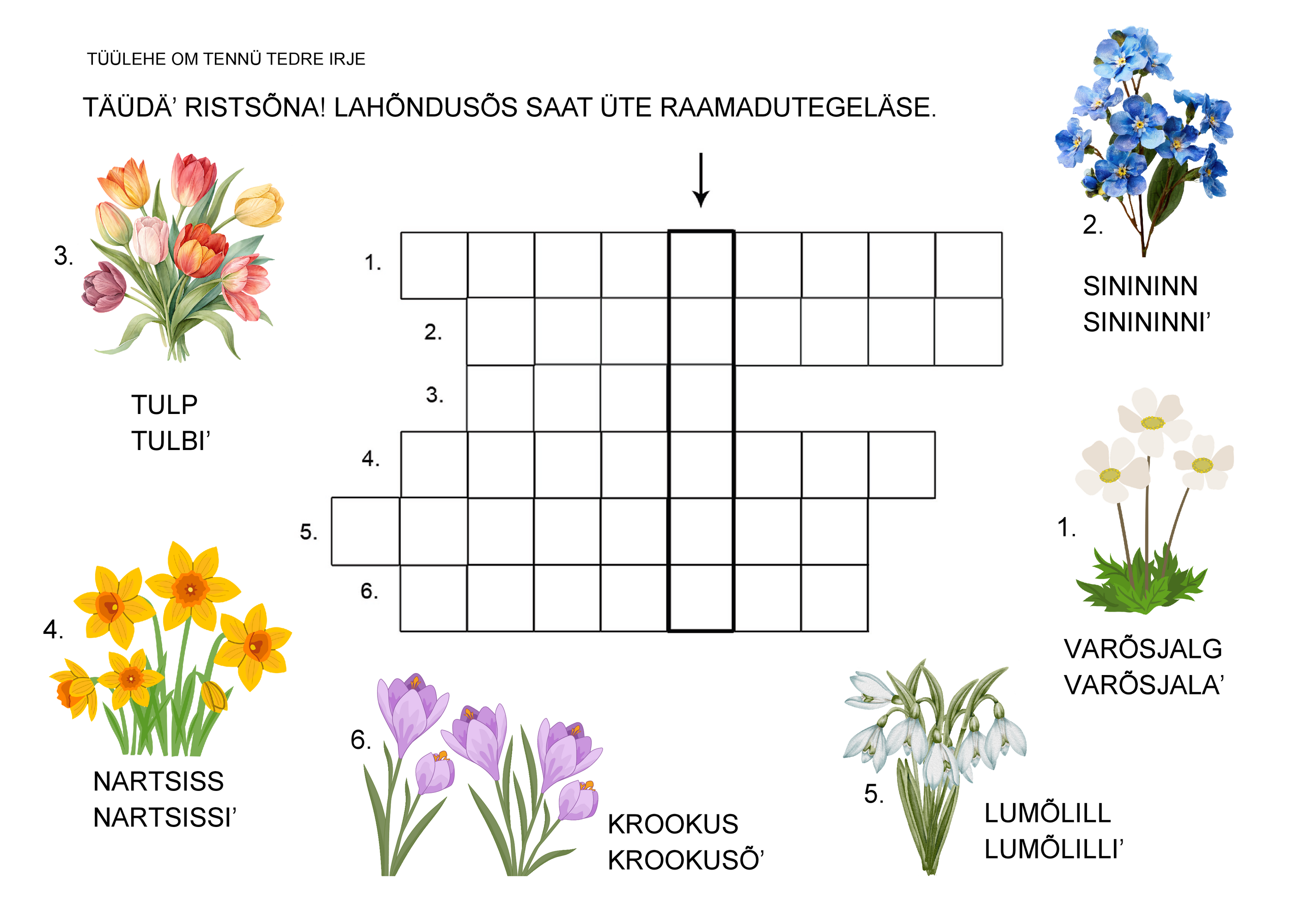 Kevajalille_rists6na.pdf