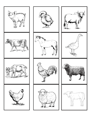 Kodoelaja_memoriin.pdf