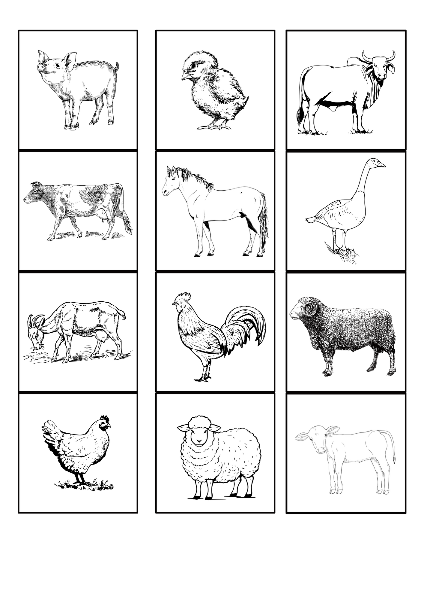 Kodoelaja_memoriin.pdf