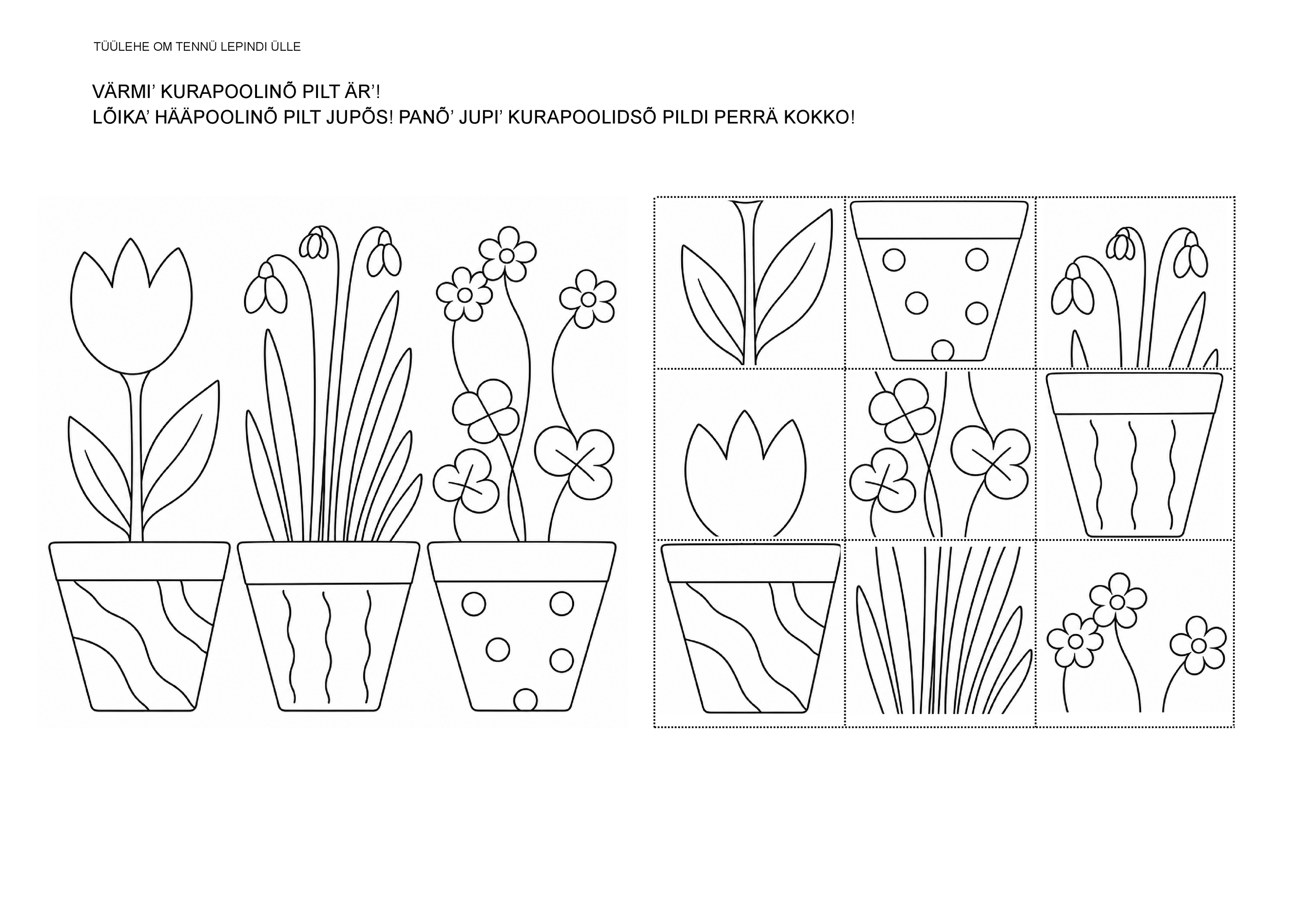 Lilliq.pdf