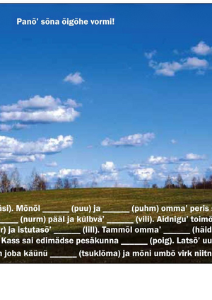 Numm6r_386_lehekuu_11._p2iv_2017_.pdf