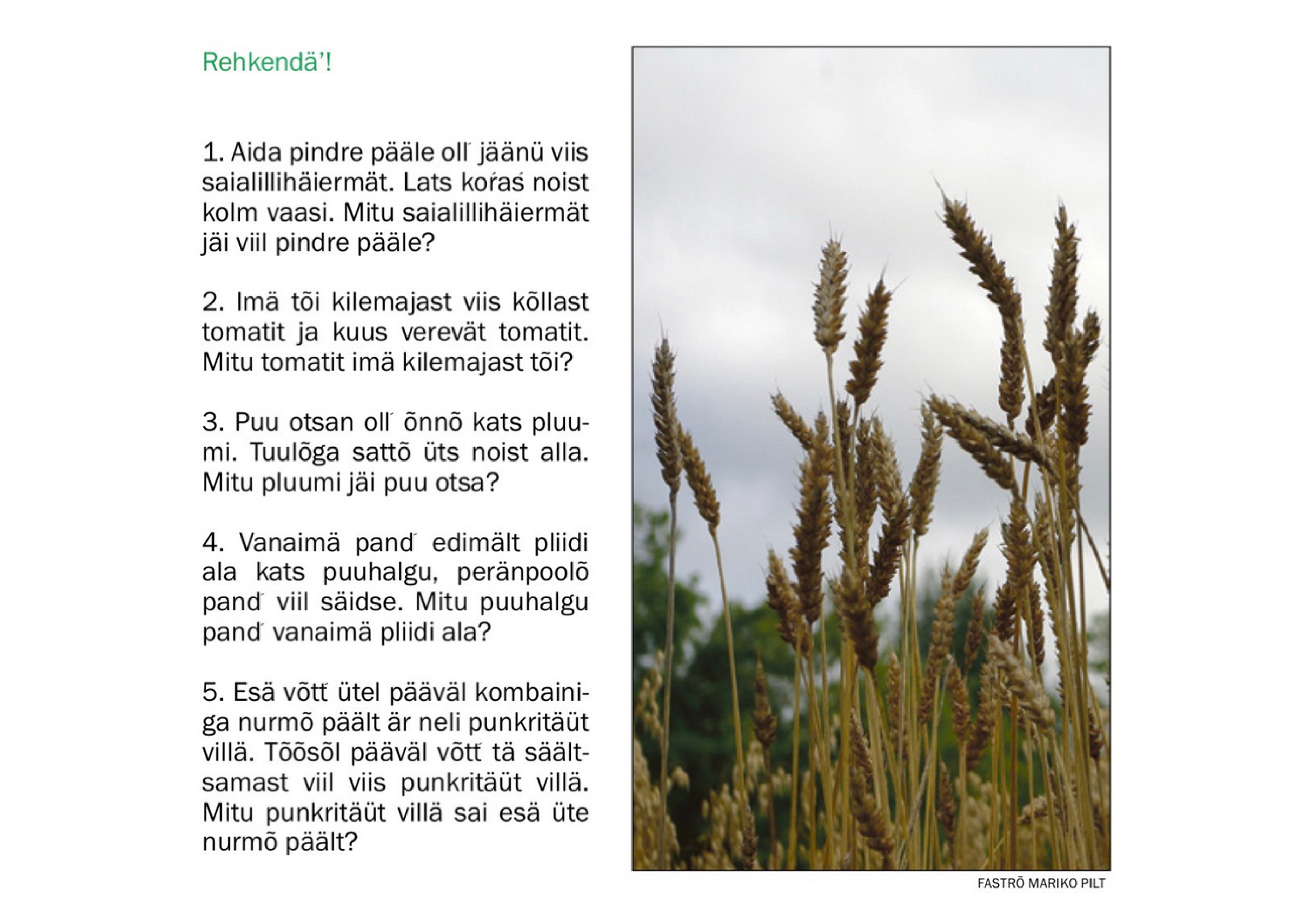Numm6r_395_sykyskuu_14._p2iv_2017_.pdf