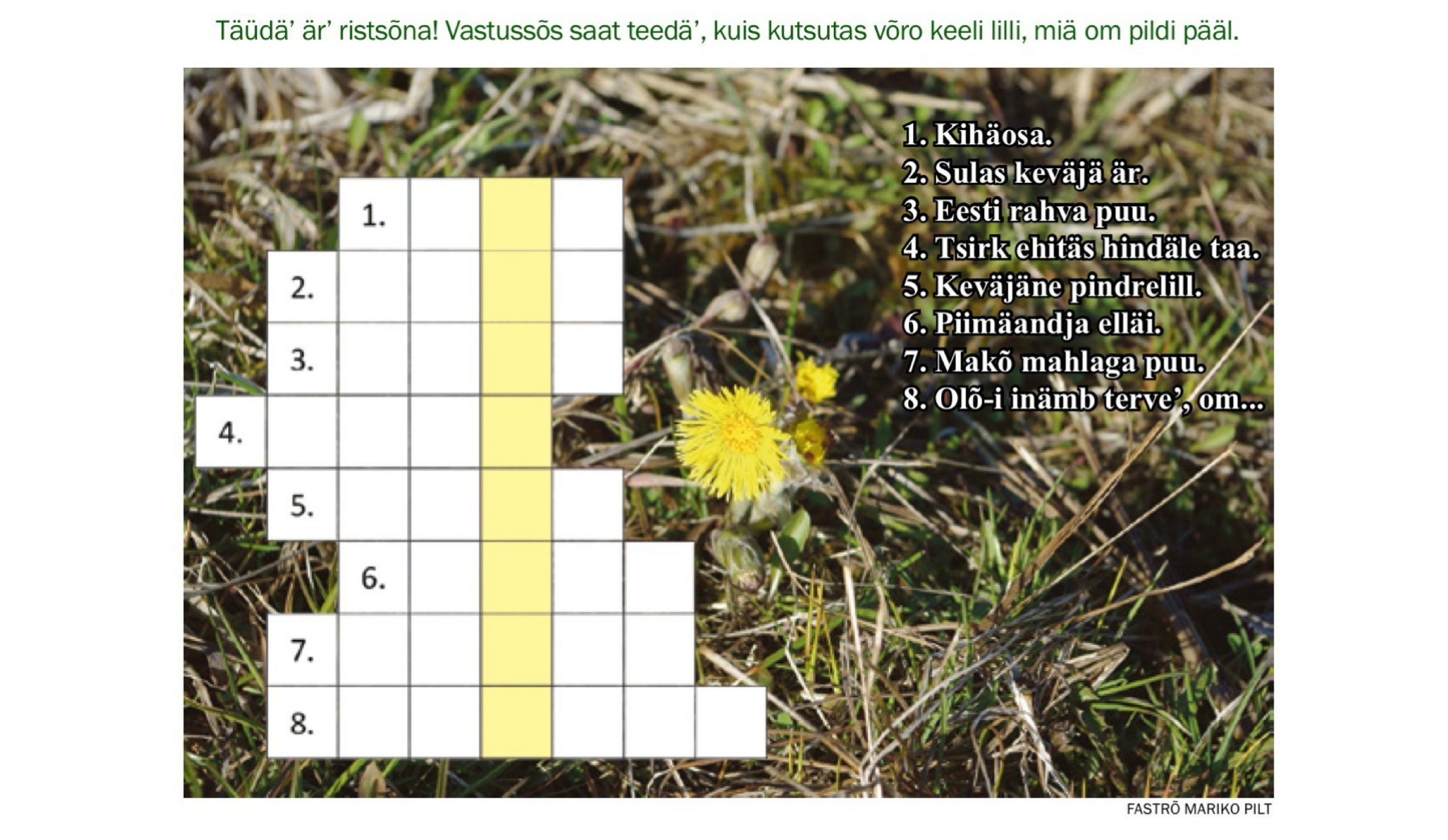 Numm6r_410_mahlakuu_12._p2iv_2018_.pdf