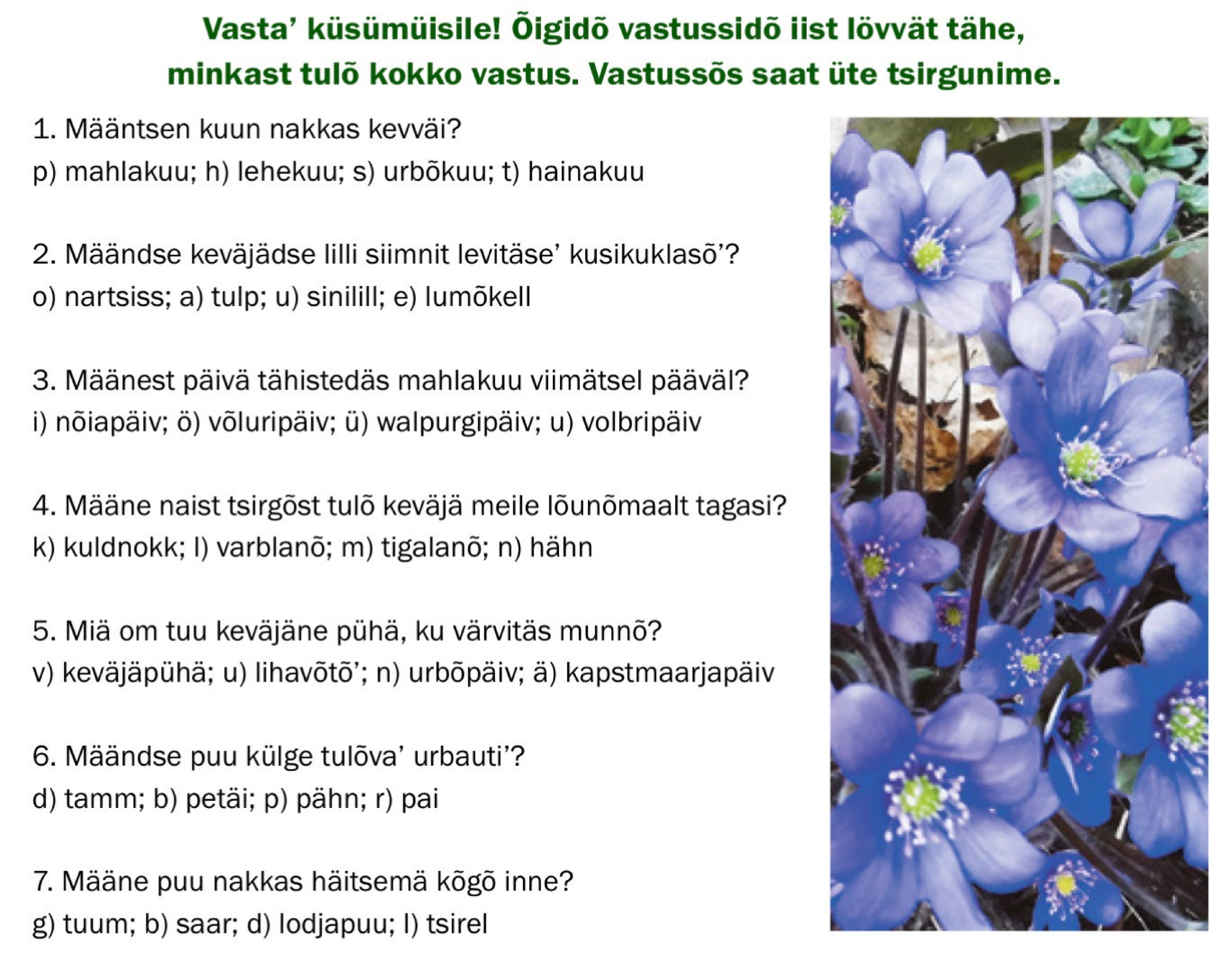 Numm6r_585_mahlakuu_10._p2iv_2025_.pdf