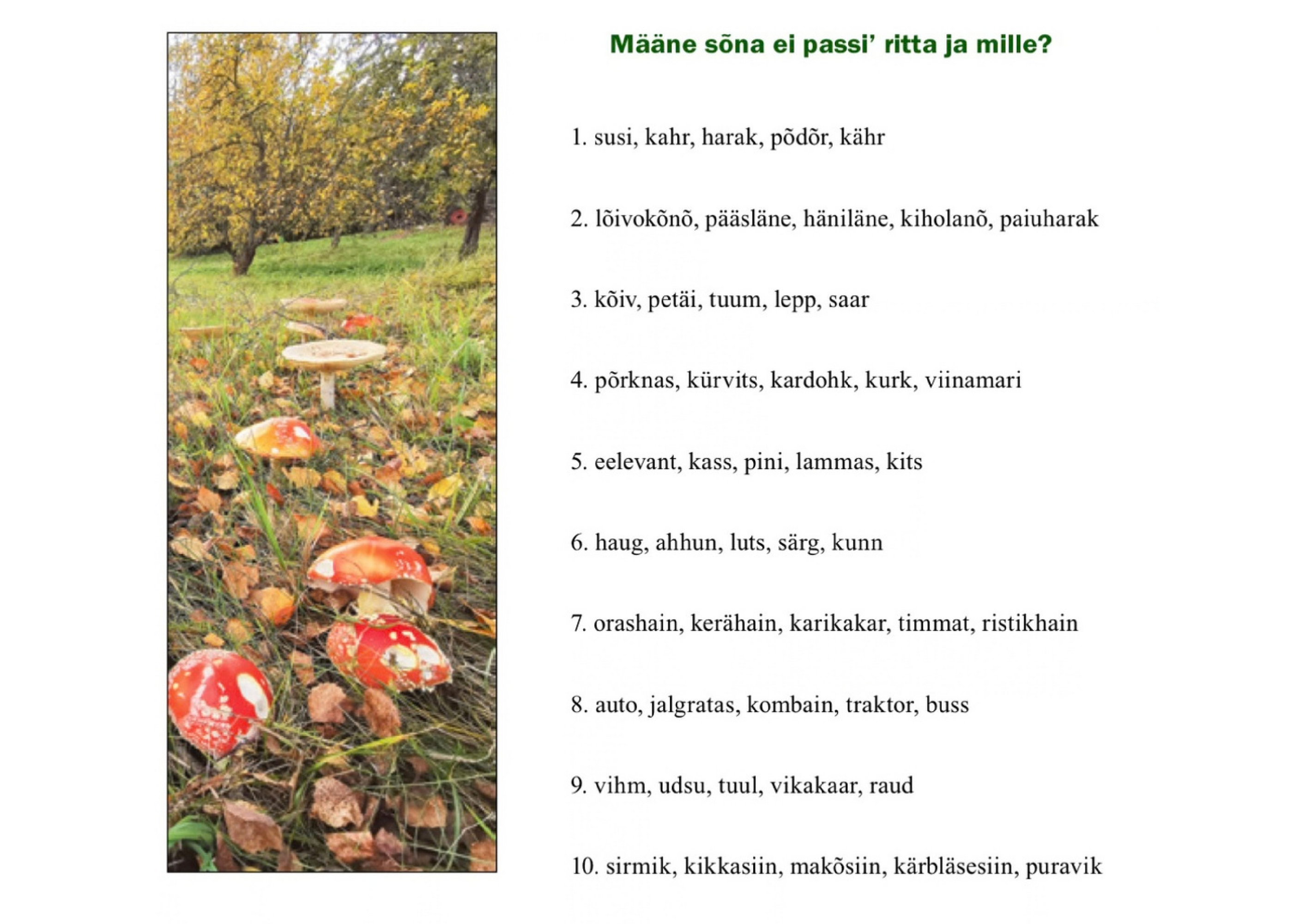 Numm6r_598_rehekuu_09._p2iv_2025_.pdf
