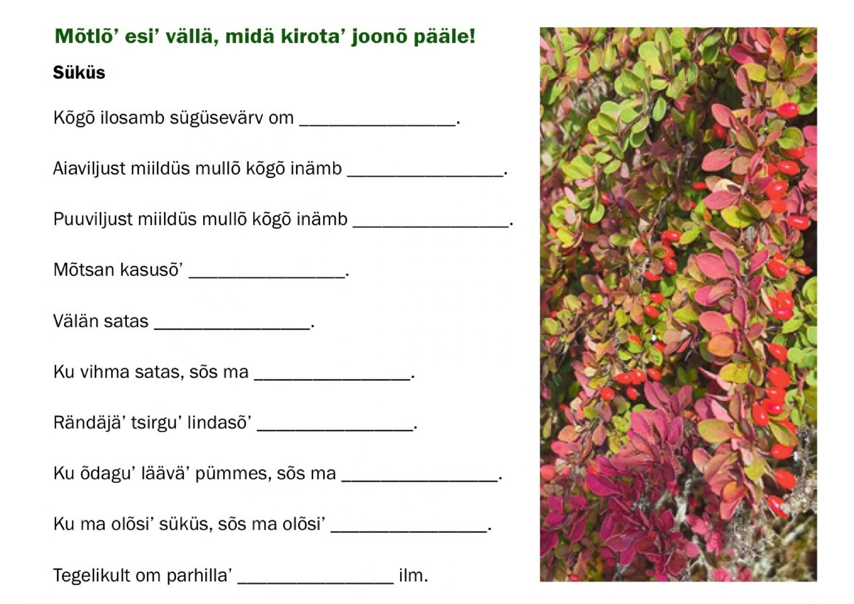 Numm6r_622_sykyskuu_24._p2iv_2026_.pdf
