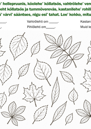 Numm6r_623_rehekuu_08._p2iv_2026_.pdf