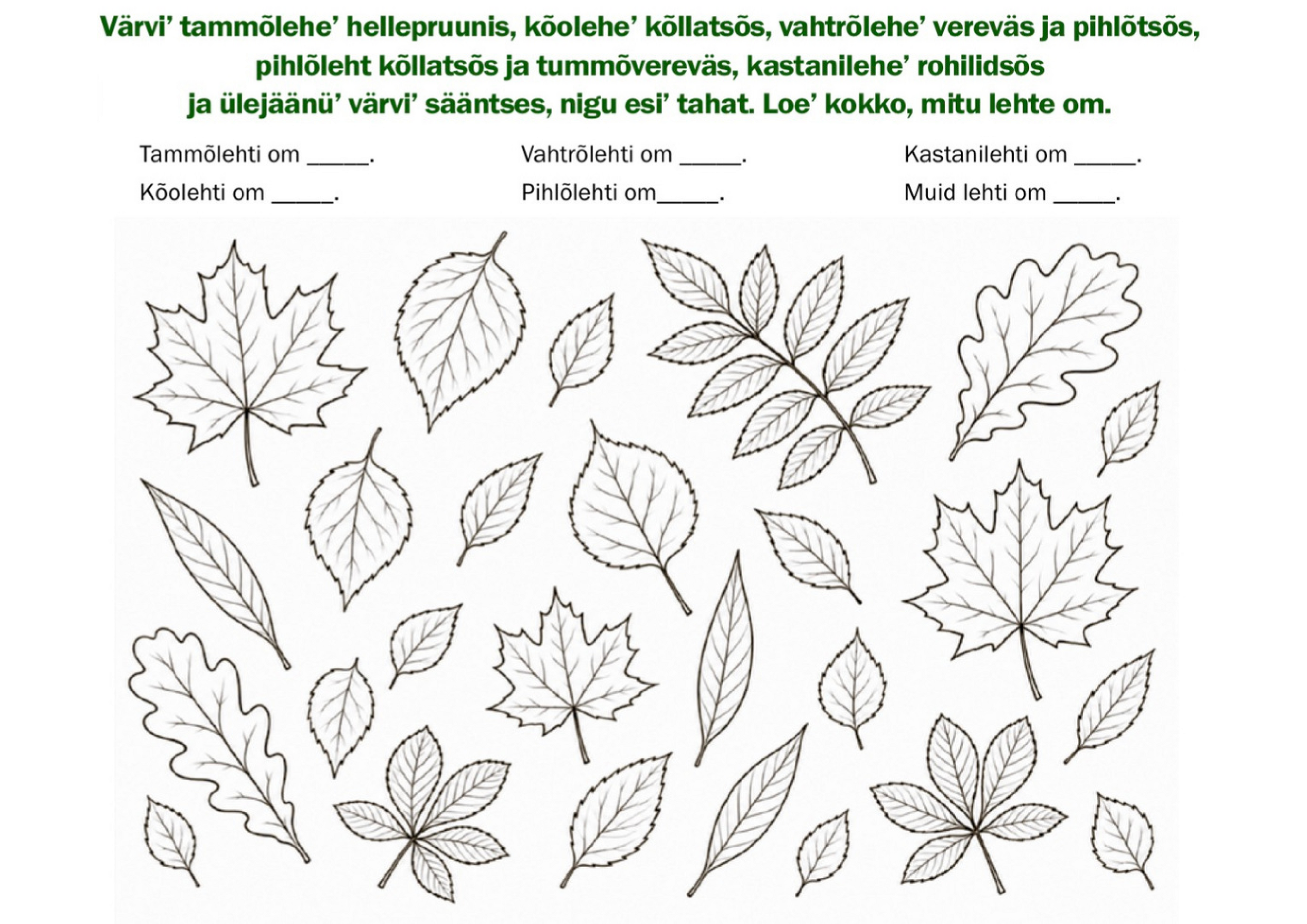 Numm6r_623_rehekuu_08._p2iv_2026_.pdf