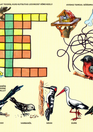 Ristsona_Taheke_2007_joulukuu.pdf