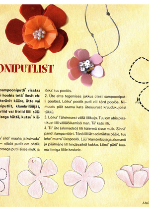 T2heke_2010_p6imukuu_meisterdys.pdf