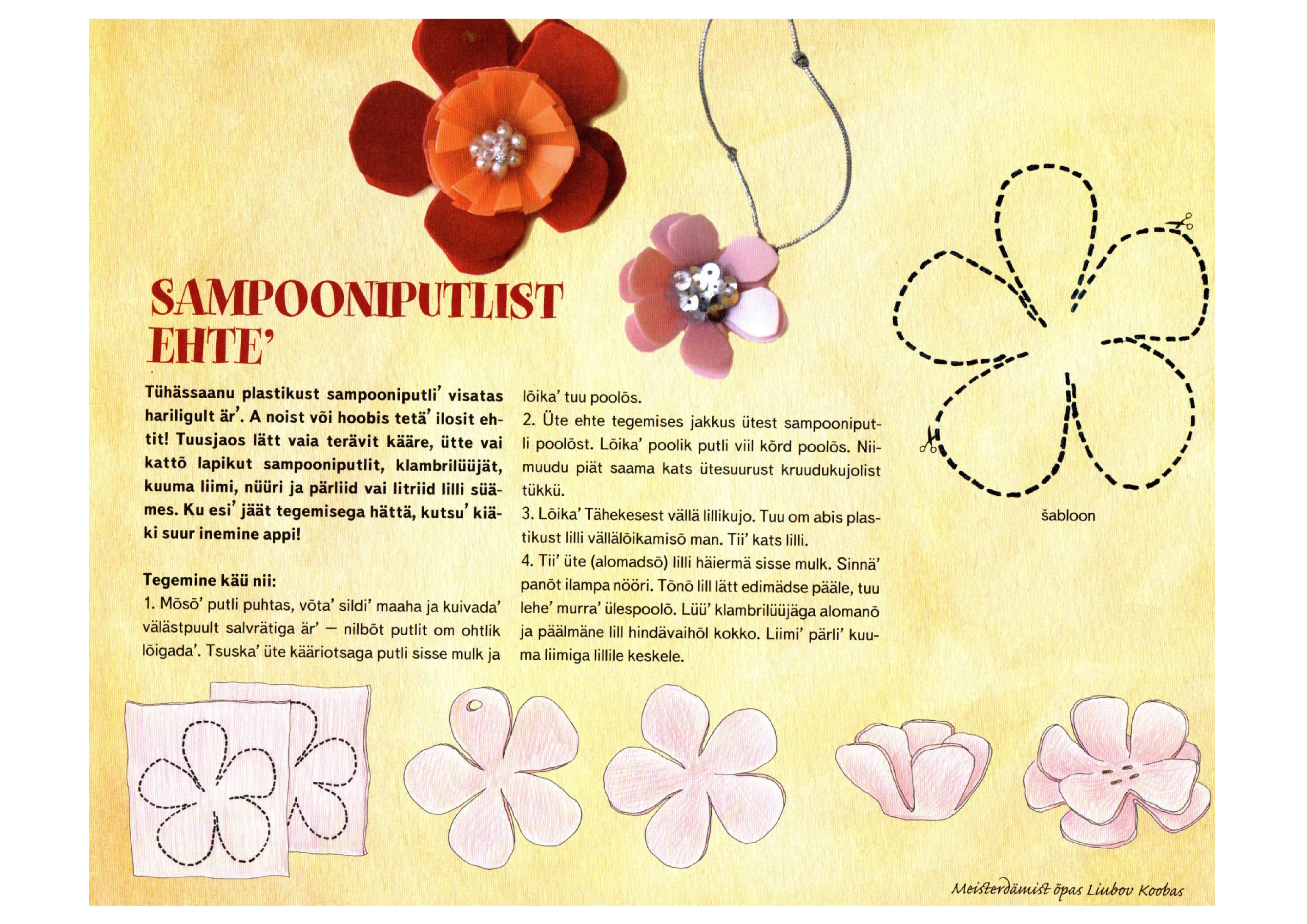 T2heke_2010_p6imukuu_meisterdys.pdf