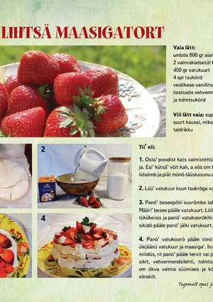 T2heke_2021_maasigatort.pdf