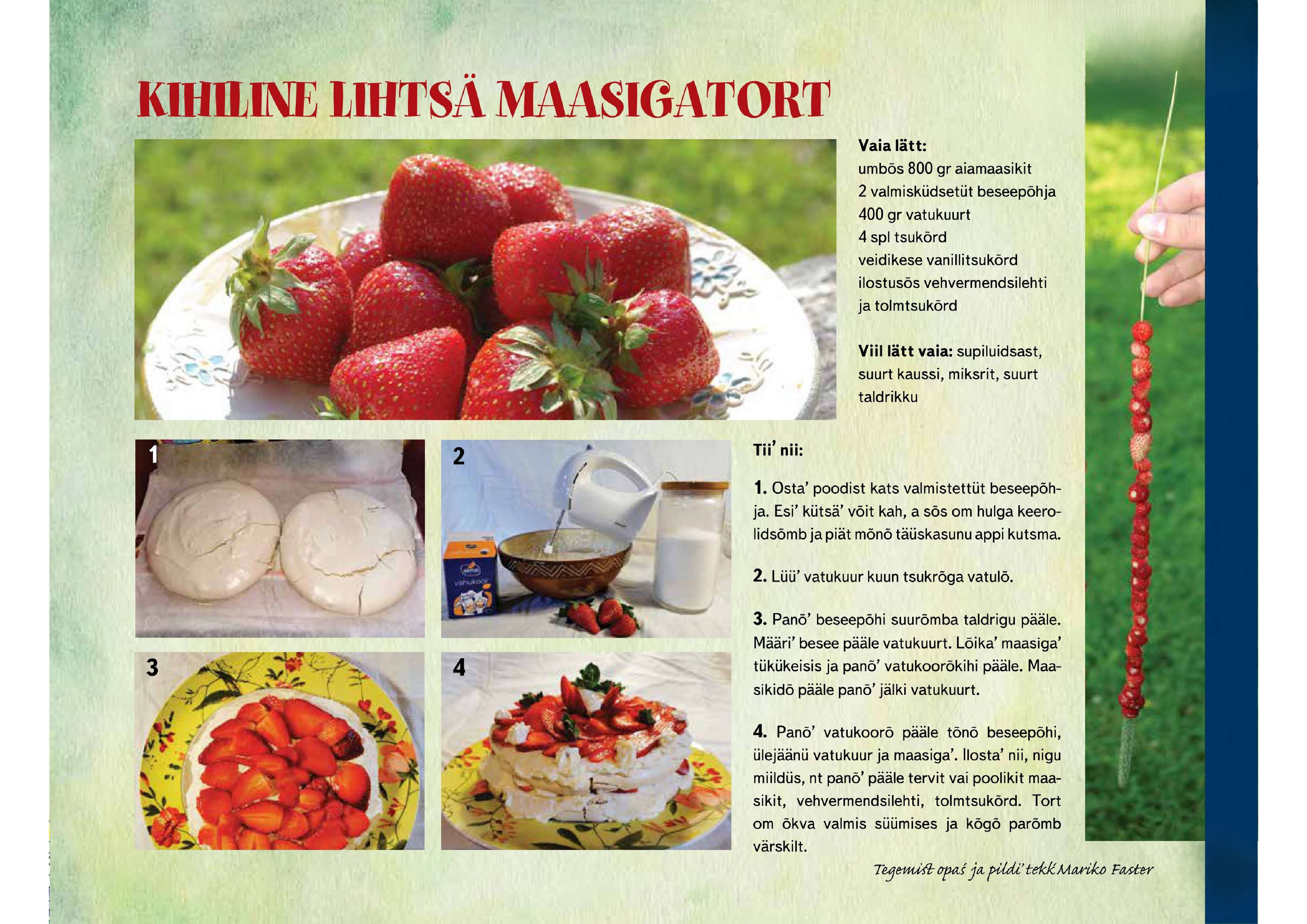 T2heke_2021_maasigatort.pdf