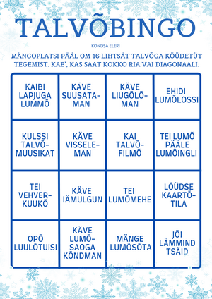 Talvobingo_2026.pdf