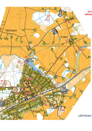 tsiht_04_Urvaste_Antsla.pdf