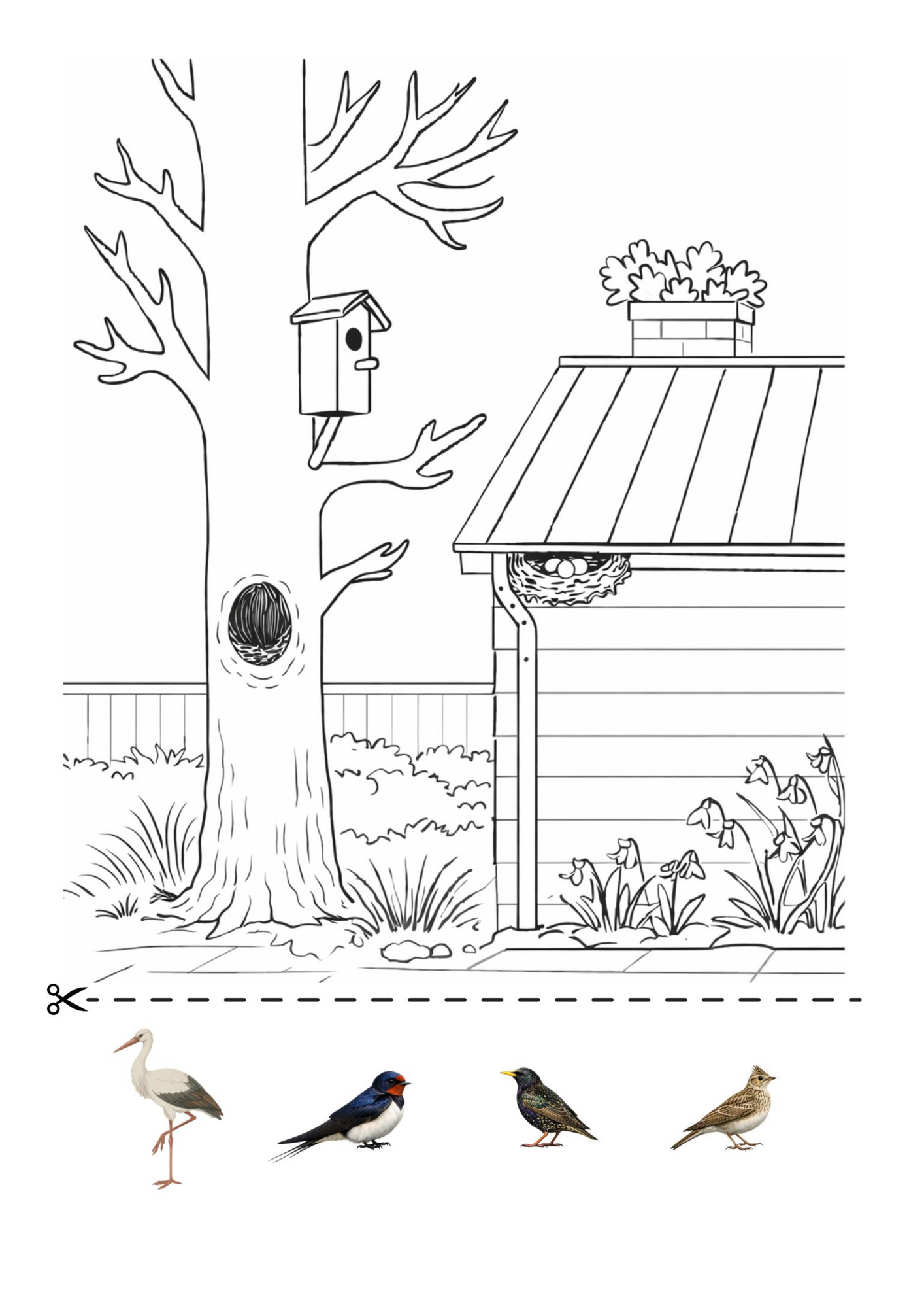 tsirguq_kevaja_tyyleht.pdf