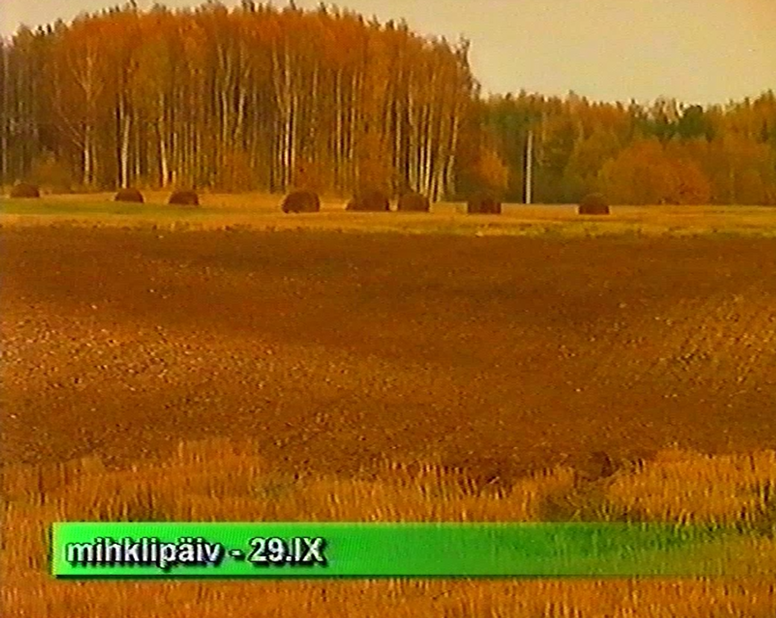 Aastats66r_mihklip2iv.png