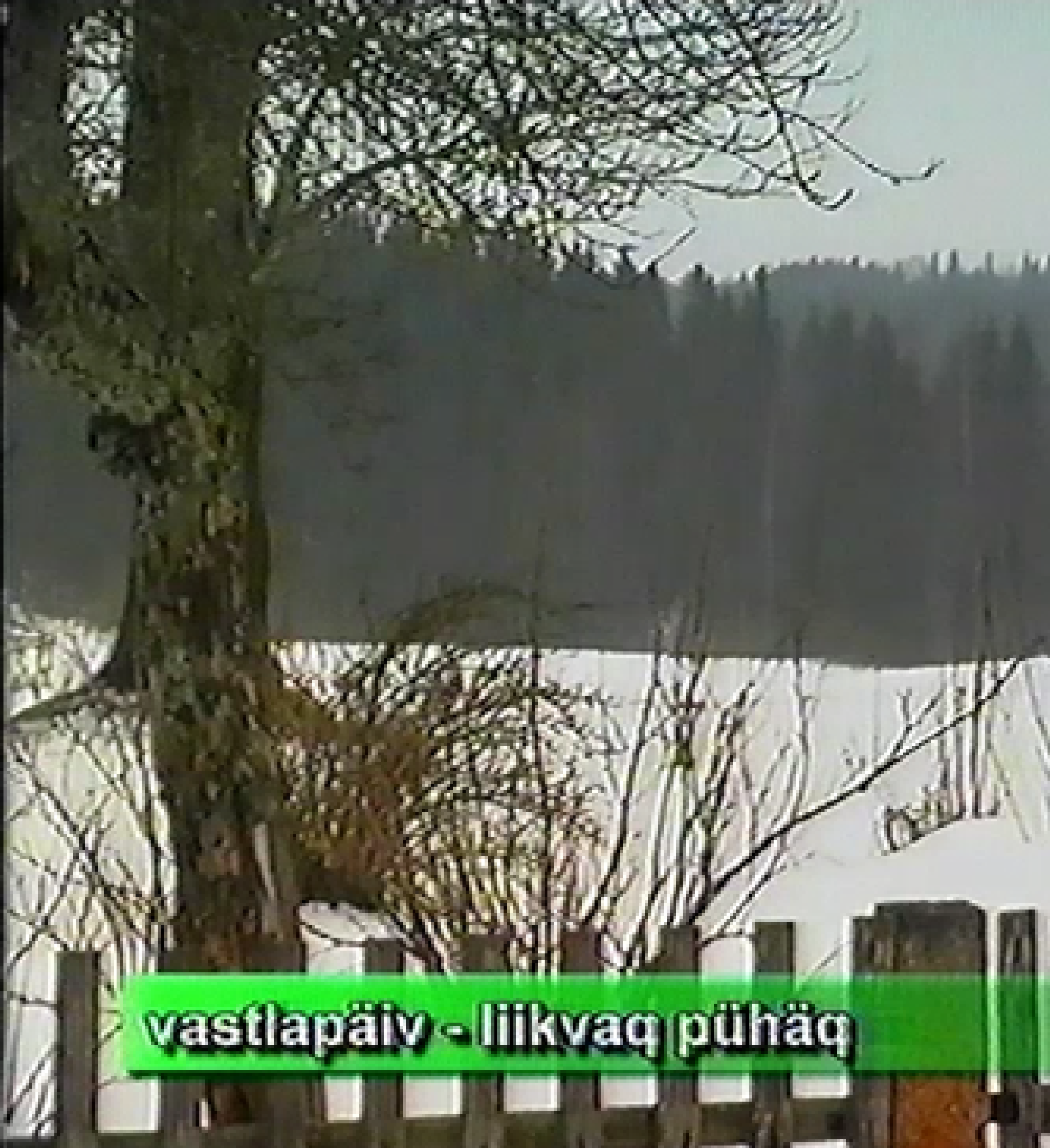 Vastlapaiv_aastatsoor_.png